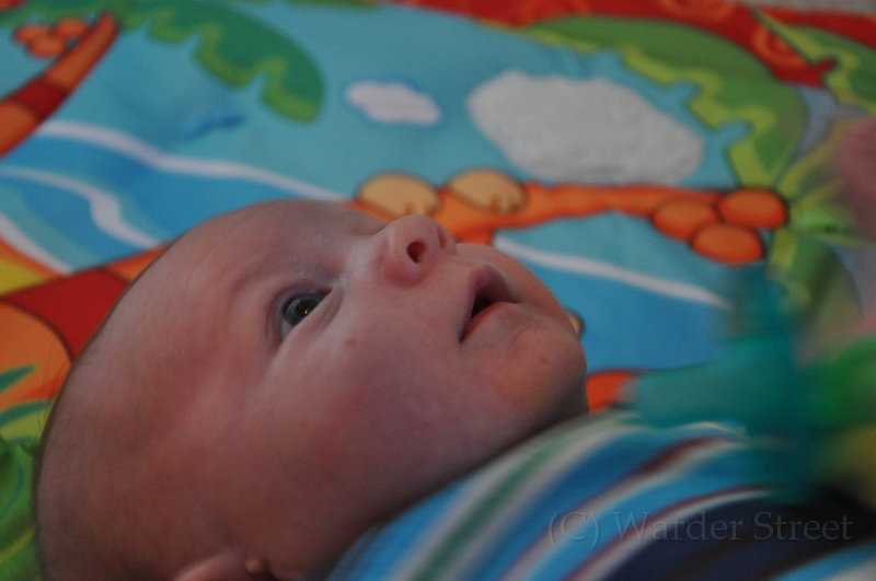 William's Fifth Week 08.jpg